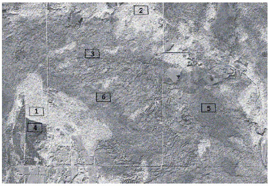 Emplacements des six zones tests vues sur une partie d'image QuickBird de l'île Cockburn en Ontario. Ces zones contiennent soit des arbres feuillues à cimes de grosseur moyenne (zones 1&2), des conifères à petites cimes (zones 5&6), des conifères en régénération à très petites cimes (zone 4), ou de la forêt mixte (zone 3).