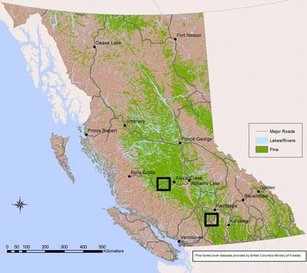  Figure 1.  Extent of lodgepole pine and areas sampled in central and southern locations in British Columbia.
