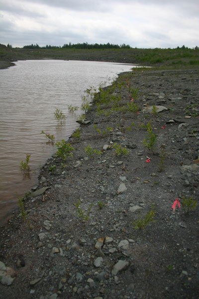 Restoration of eroding riparian zones on coal mine sites