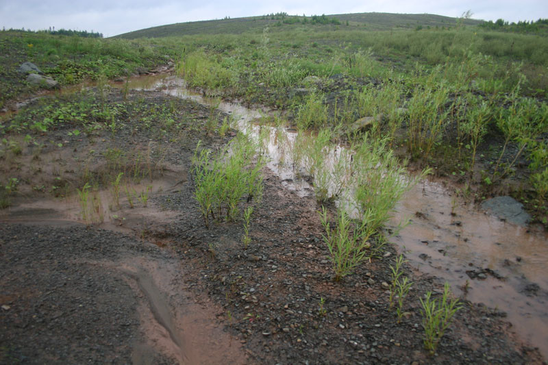 Restoration of eroding riparian zones on coal mine sites