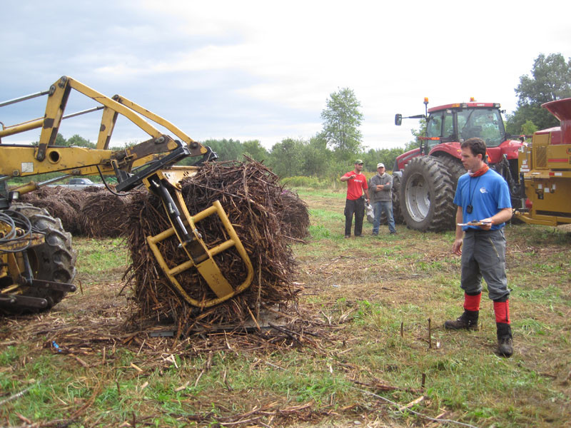 Willow bales are weighed on a platform scale