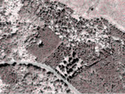 Partie d'une image IKONOS panchromatique d'été montrant les faîtes d'arbres détectés (points rouges) au site Hudson