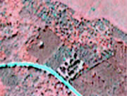 Vue infra-rouge de l'image IKONOS multispectrale d'été de la plantation de Hudson qui illustre bien les effets d'une résolution de 4 m/pixel (c.à-d., les cimes individuelles ne sont pas visibles, donc inextricables). Cette résolution moindre a aussi un effet sur la capacité de reconnaître les espèces à partir d'une image IKONOS.
