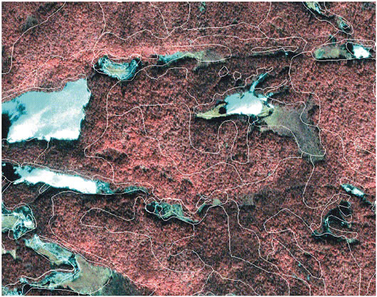 Polygons from the current Quebec government forest inventory superimposed on a section of the pan sharpened IKONOS image (near infrared colour style). One can easily recognize the stands made mostly of deciduous trees in pink and those of conifers in darker shades. One also sees lakes with some cloud reflections and their often associated swamp zones (brown tones). Note that the alignment of these polygons with the image is better in some areas than other. 