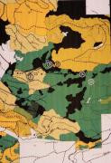 Carte de la couverture forestière montrant l'âge des sites pour la chronoséquence de Koksilah
