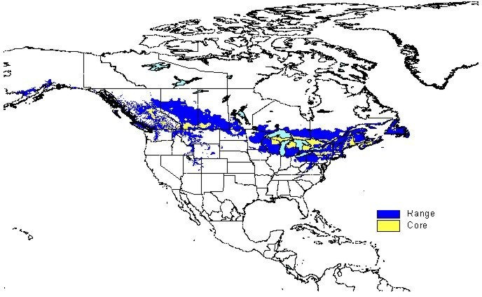 Map of Dung beetle climatic domain in North America