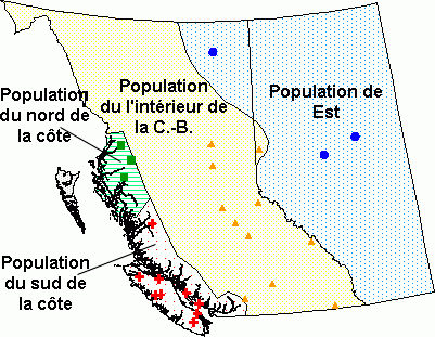 carte: poplulations du charancon du pin blanc en Colombie-Britannique et en Alberta