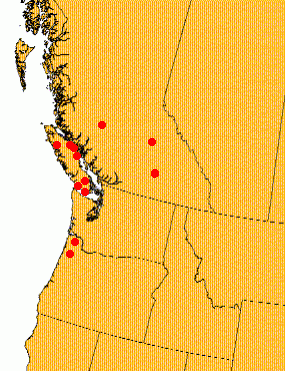 Map of spruce screening trial areas